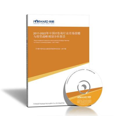 IT咨询研究报告_中国IT咨询行业市场前瞻与投资战略规划分析报告