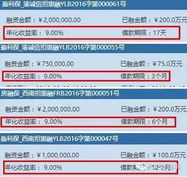 这家当地最大的国资平台,竟已被拉入黑名单