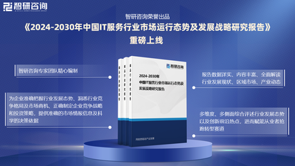 2024版中国IT服务行业发展现状及投资前景研究报告(智研咨询)