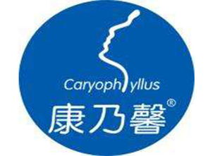 康乃馨产后恢复加盟需要多少钱 总投资14.8万元 加盟费查询网