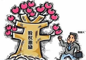 厦门股份改革 股权激励 股份投资专业咨询